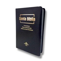 BIBLIA REINA VALERA 1960 LETRA...