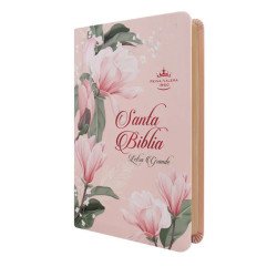 BIBLIA REINA VALERA 1960 LETRA...