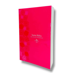 Biblia De Promesas Letra Grande Rvr 1960 – Tapa Rustica Rosa