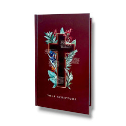 Biblia De Las Americas Letra Grande Tapa Dura.