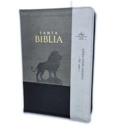 BIBLIA REINA VALERA 1960 088CZTI...