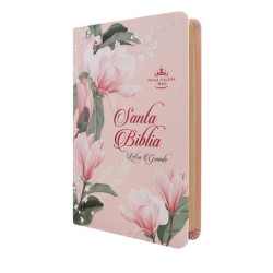 Biblia Reina Valera 1960 Letra Mediana Colores