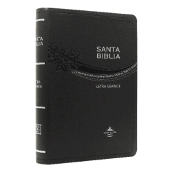 BIBLIA RVR065CLG/GRIS