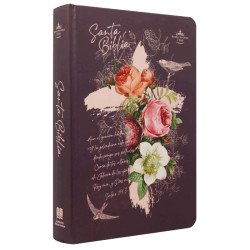 BIBLIA REINA VALERA 1960 LETRA GRANDE...