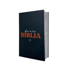 BIBLIA REINA VALERA 1960 LETRA...