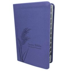 BIBLIA DE PROMESAS RV1960 CON INDICE...