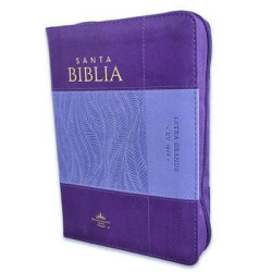 Biblia Reina Valera 1960 045czti Pjr I/piel Bicolor Lila/lila