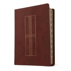 BIBLIA NUEVA TRADUCCIÓN VIVIENTE...