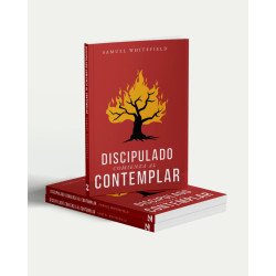 DISCIPULADO COMIENZA AL CONTEMPLAR -...
