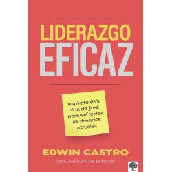 LIDERAZGO EFICAZ: INSPÍRATE EN LA...