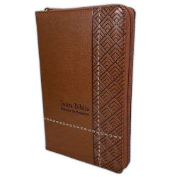 Santa Biblia De Promesas Tamaño Manual Rvr 1960 – Letra Grande – Con Cierre E Índice – Imitación Piel Café