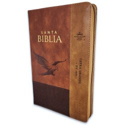 BIBLIA RVR065LG CZTI PJR INSPIRACIÓN...