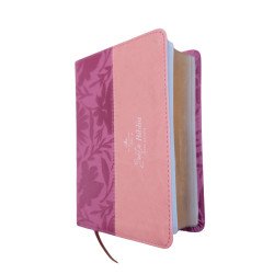BIBLIA REINA VALERA 1960 – 035 – CON...