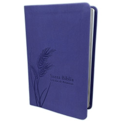 Biblia De Promesas Rv1960 Tamaño Manual – Imitacion Piel Especial Lavanda
