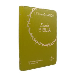 Biblia Reina Valera 1960 Letra 12p Pjr Cierre Índice Covertex Verde