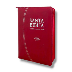 Biblia Bolsillo Letra Grande Rvr046clsgipjrzti Rojo