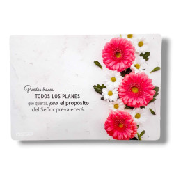 Individual De Mesa Plastificado. Puedes Hacer Todos Los Planes.. . 50 X 30 Cm. 06