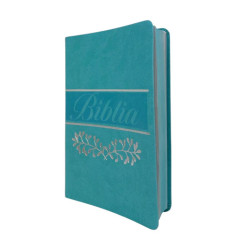 Biblia Reina Valera 1960 Letra Mediana Verde Menta Canto Pintado