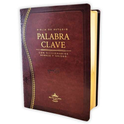 Biblia De Estudio Palabra Clave Hebreo-griego Piel Marron