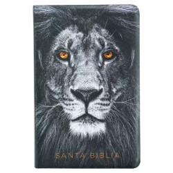 Biblia Letra Grande Tamaño Manual – Rvr 1960 Imitacion Negro Leon