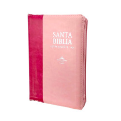 Biblia Letra Gigante Rvr066clsgip Jrzti Rosa Y Fucsia