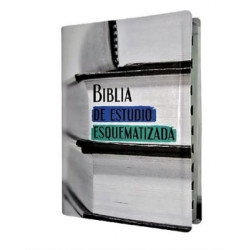 Biblia De Estudio Esquematizada Letra Grande Con Indice