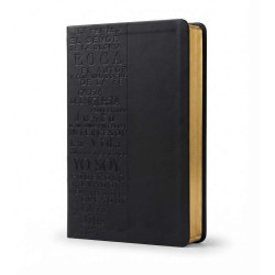 Biblia Grande Fina Rvr1960 Nombres De Dios. Negra
