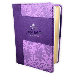 Biblia Reina Valera 1960 – 035 – Con Concordancia – Letra 12 Pts – 11x16 Cm – Lila