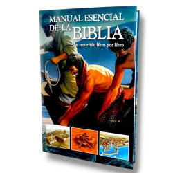 Manual Esencial De La Biblia. Un Recorrido Libro Por Libro.