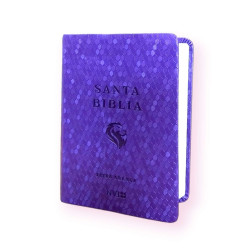 Biblia Nvi Personal Cuero Ecologico Violeta