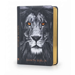 Biblia Letra Grande Tamaño Manual – Rvr 1960 Imitacion Negro Leon