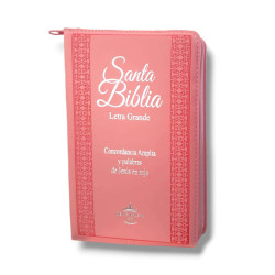 Biblia Letra Grande Rvr056clgpjrtzi Rosa Claro Frank