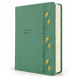 Biblia Rvr60 Verde Pajaros Letra Gigante