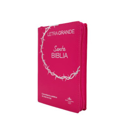 Biblia Rvr 1960 Con Cierre Índice. Rosa