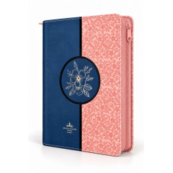 Biblia Rvr 1960 Letra Grande Dos Tonos Rosa Y Azul.