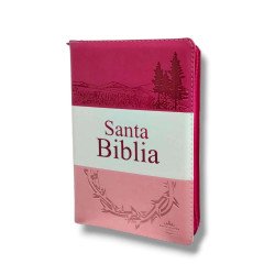 BIBLIA LETRA GRANDE RVR...