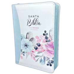 BIBLIA  LETRA GRANDE RVR60 045cz cp...