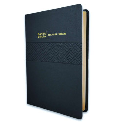SANTA BIBLIA DE PROMESAS RVR 1960,...
