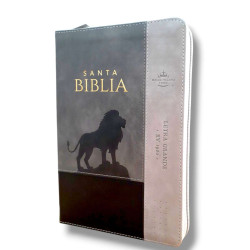 BIBLIA RVR065LG CZTI PJR INSPIRACIÓN...